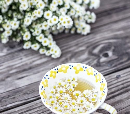The Benefits Of Dandelion Tea