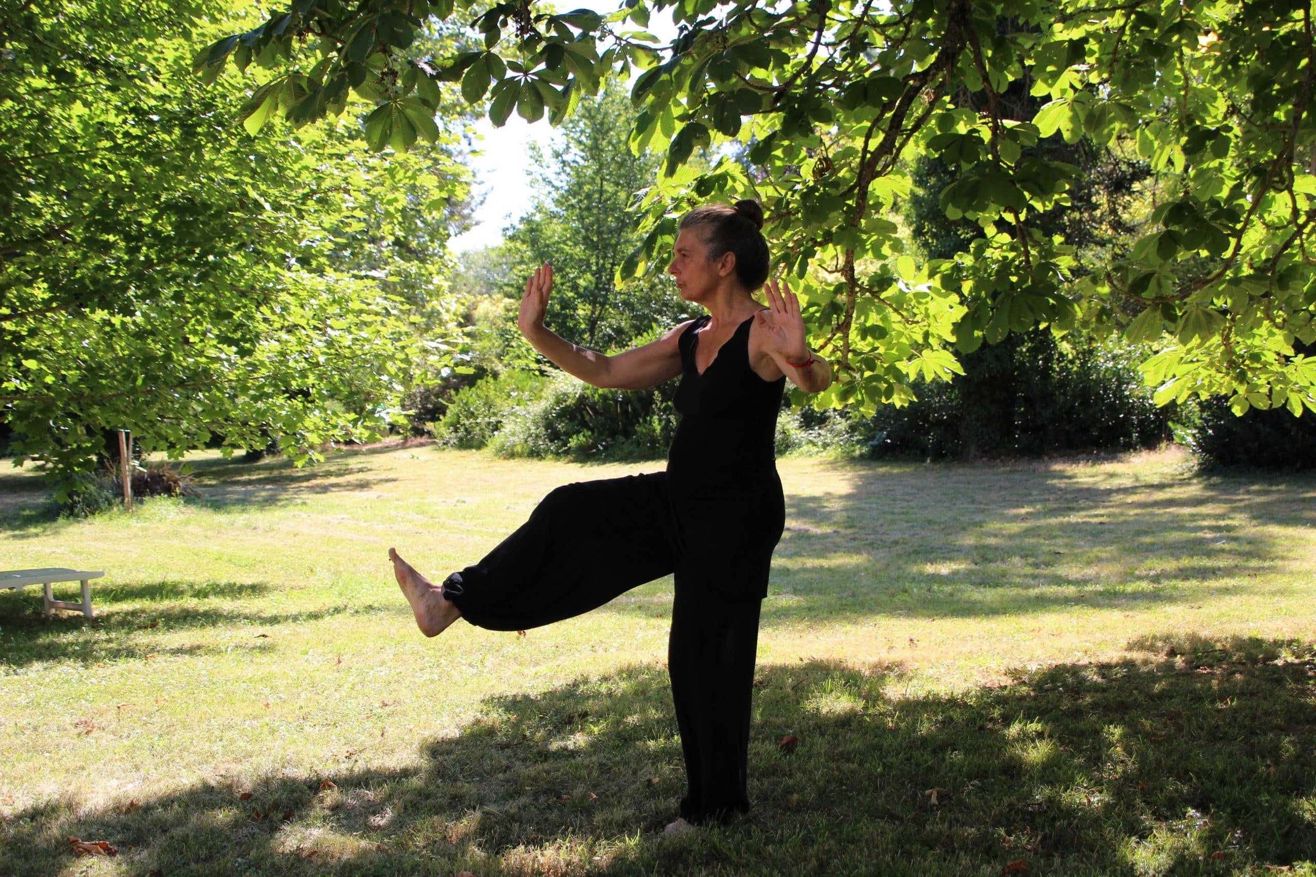 Tai Chi Might Help Reduce Belly Fat: Age-Defying Fitness Secret!