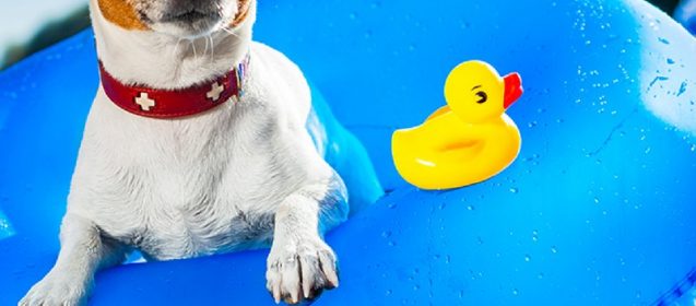 Beat The Heat Workouts