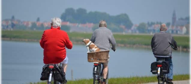 Natural Ways To Fight Mental Aging