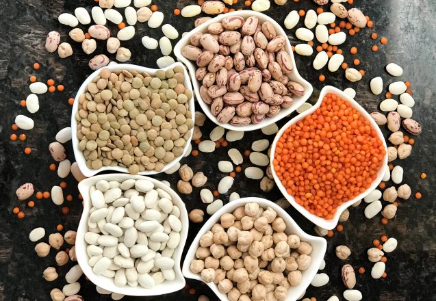 Good Plant Based Protein Options