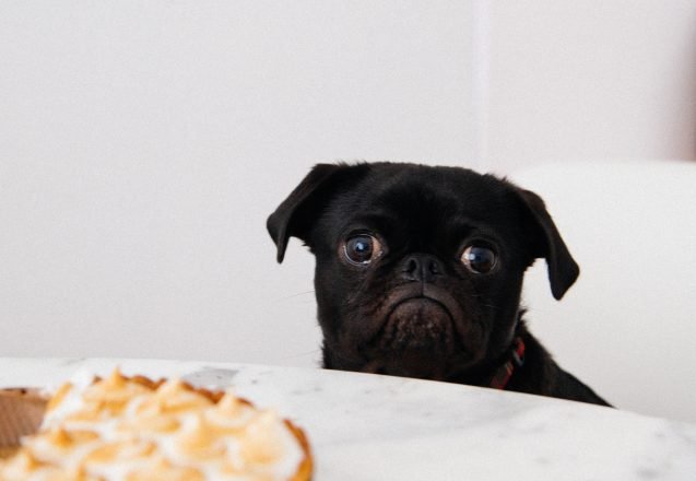 Why Am I Hungry After My Work Out?