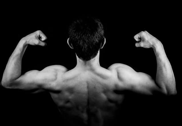 Best Supplements For Muscle Growth And Recovery